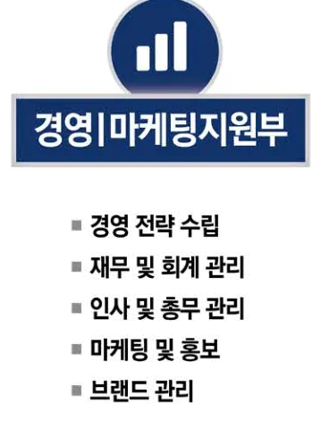 경영 | 마케팅지원부 — 경영 전략 수립, 재무 및 회계 관리, 인사 및 총무 관리, 마케팅 및 홍보, 브랜드 관리