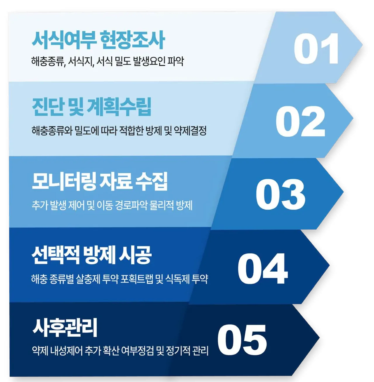 체계적인 5단계 방제프로세스 — 01 서식여부 현장조사, 02 진단 및 계획수립, 03 모니터링 자료 수집, 04 선택적 방제 시공, 05 사후관리